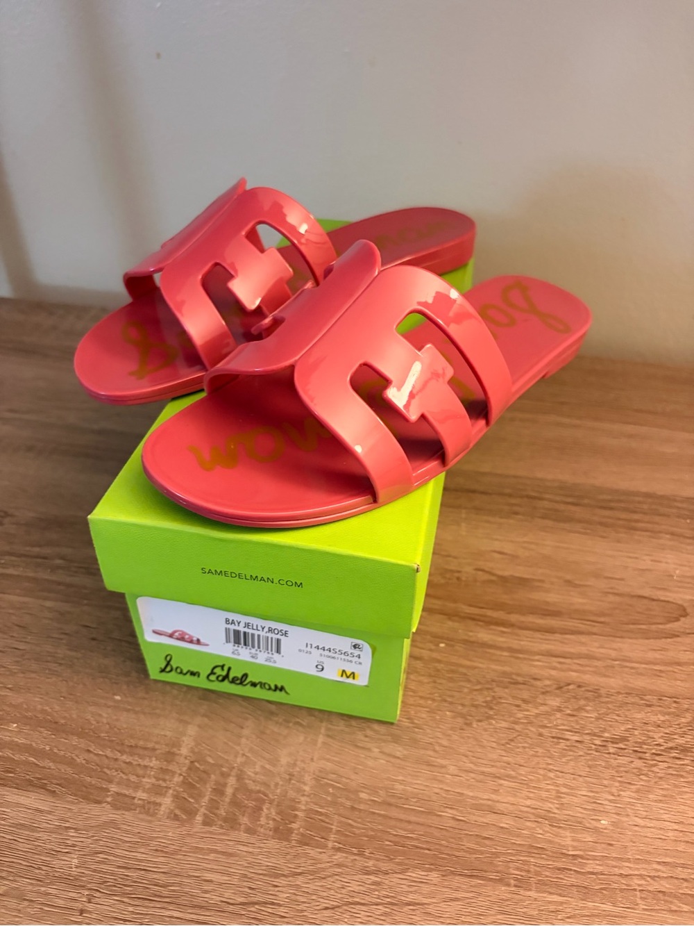 Sam Edelman Bay Jelly Slide Sandals in Coral Pink